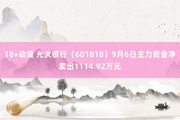 18+动漫 光大银行（601818）9月6日主力资金净卖出1114.92万元