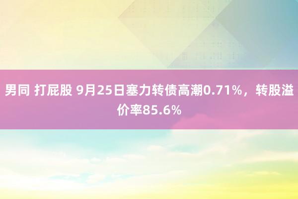 男同 打屁股 9月25日塞力转债高潮0.71%，转股溢价率85.6%