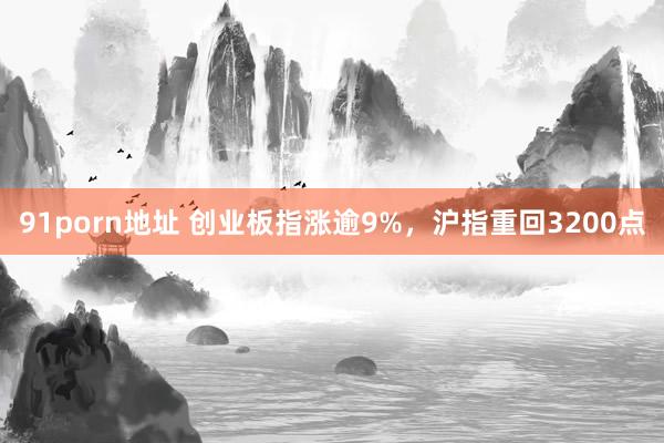 91porn地址 创业板指涨逾9%，沪指重回3200点