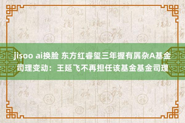 jisoo ai换脸 东方红睿玺三年握有羼杂A基金司理变动：王延飞不再担任该基金基金司理