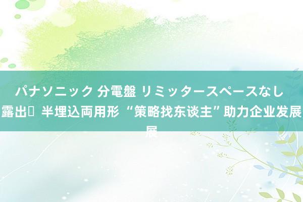 パナソニック 分電盤 リミッタースペースなし 露出・半埋込両用形 “策略找东谈主”助力企业发展