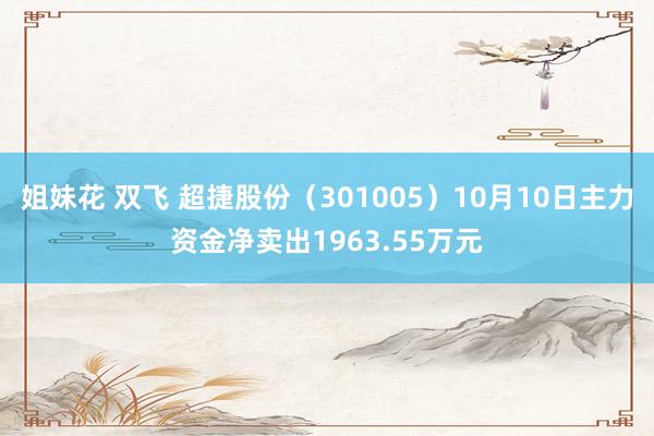 姐妹花 双飞 超捷股份（301005）10月10日主力资金净卖出1963.55万元