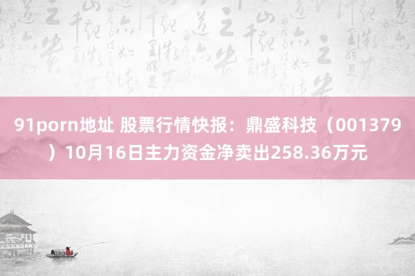 91porn地址 股票行情快报：鼎盛科技（001379）10月16日主力资金净卖出258.36万元