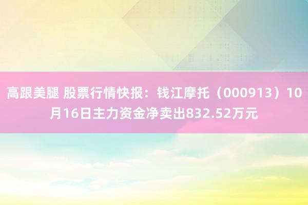 高跟美腿 股票行情快报：钱江摩托（000913）10月16日主力资金净卖出832.52万元