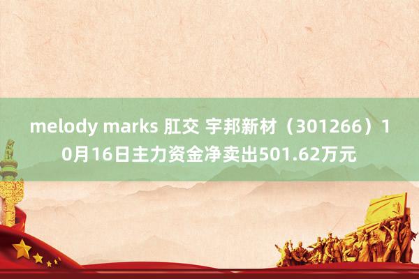 melody marks 肛交 宇邦新材（301266）10月16日主力资金净卖出501.62万元