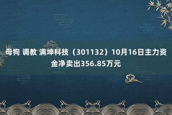 母狗 调教 满坤科技（301132）10月16日主力资金净卖出356.85万元