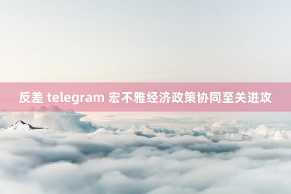 反差 telegram 宏不雅经济政策协同至关进攻