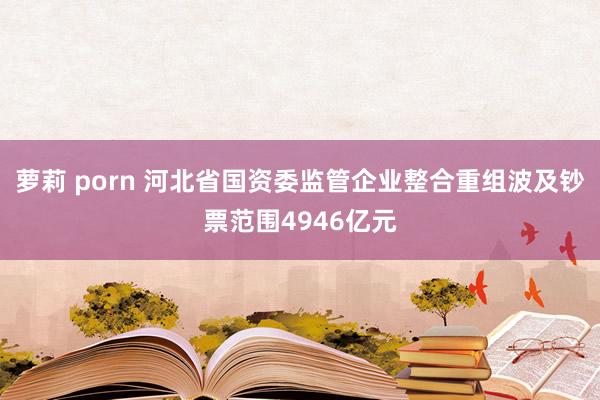 萝莉 porn 河北省国资委监管企业整合重组波及钞票范围4946亿元