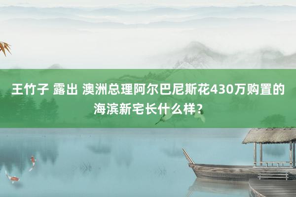 王竹子 露出 澳洲总理阿尔巴尼斯花430万购置的海滨新宅长什么样？