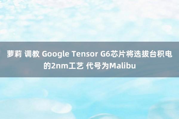 萝莉 调教 Google Tensor G6芯片将选拔台积电的2nm工艺 代号为Malibu