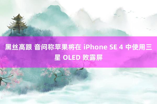 黑丝高跟 音问称苹果将在 iPhone SE 4 中使用三星 OLED 败露屏