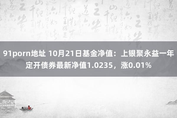 91porn地址 10月21日基金净值：上银聚永益一年定开债券最新净值1.0235，涨0.01%