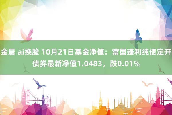 金晨 ai换脸 10月21日基金净值：富国臻利纯债定开债券最新净值1.0483，跌0.01%