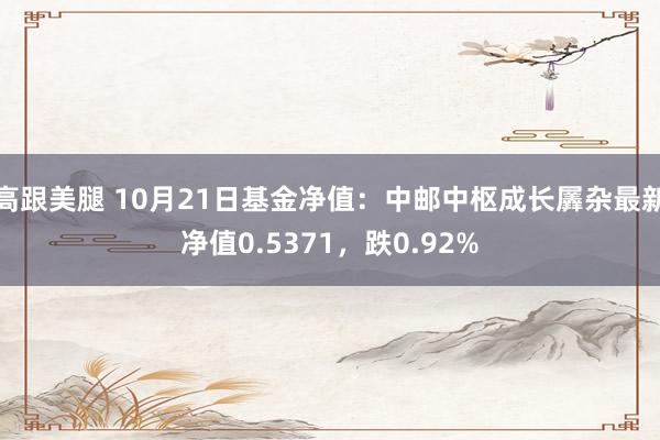 高跟美腿 10月21日基金净值：中邮中枢成长羼杂最新净值0.5371，跌0.92%