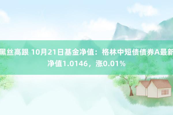 黑丝高跟 10月21日基金净值：格林中短债债券A最新净值1.0146，涨0.01%