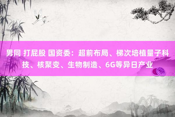 男同 打屁股 国资委：超前布局、梯次培植量子科技、核聚变、生物制造、6G等异日产业