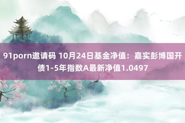 91porn邀请码 10月24日基金净值：嘉实彭博国开债1-5年指数A最新净值1.0497