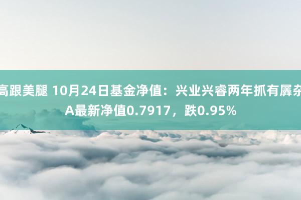 高跟美腿 10月24日基金净值：兴业兴睿两年抓有羼杂A最新净值0.7917，跌0.95%