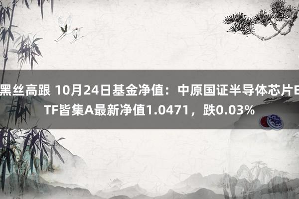 黑丝高跟 10月24日基金净值：中原国证半导体芯片ETF皆集A最新净值1.0471，跌0.03%