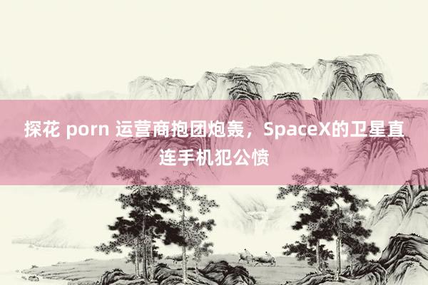 探花 porn 运营商抱团炮轰，SpaceX的卫星直连手机犯公愤