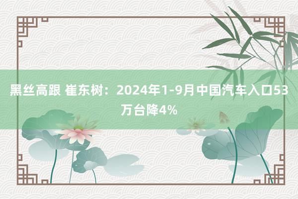 黑丝高跟 崔东树：2024年1-9月中国汽车入口53万台降4%