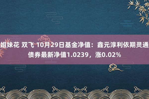 姐妹花 双飞 10月29日基金净值：鑫元淳利依期灵通债券最新净值1.0239，涨0.02%