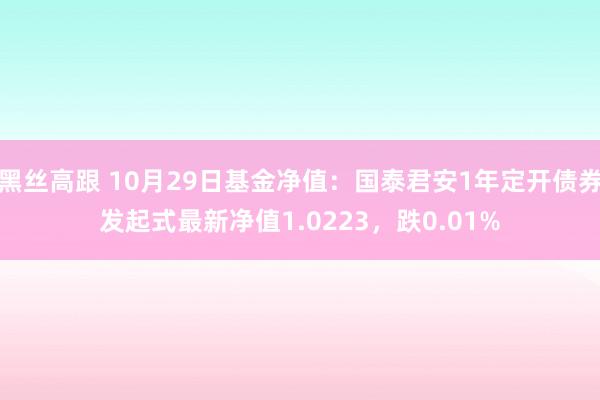 黑丝高跟 10月29日基金净值：国泰君安1年定开债券发起式最新净值1.0223，跌0.01%