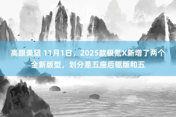 高跟美腿 11月1日，2025款极氪X新增了两个全新版型，划分是五座后驱版和五