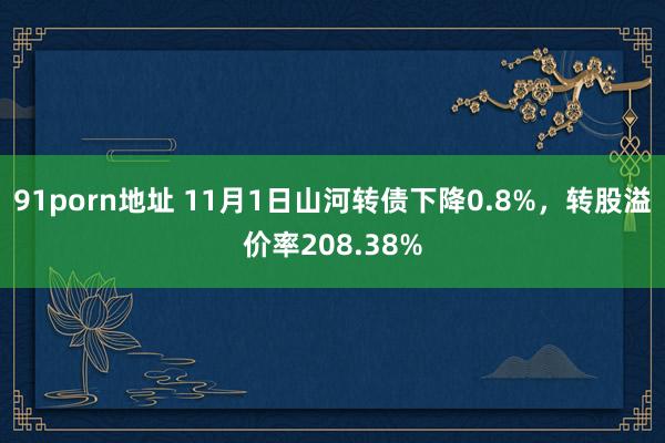 91porn地址 11月1日山河转债下降0.8%，转股溢价率208.38%