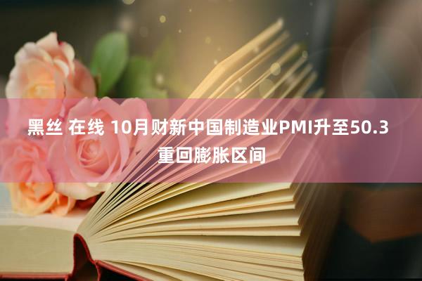 黑丝 在线 10月财新中国制造业PMI升至50.3 重回膨胀区间