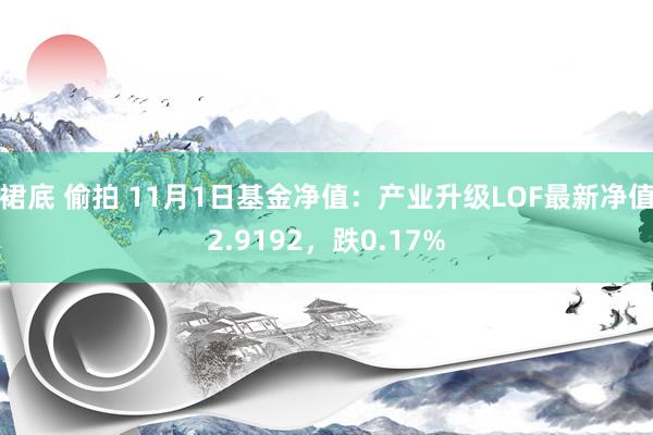 裙底 偷拍 11月1日基金净值：产业升级LOF最新净值2.9192，跌0.17%