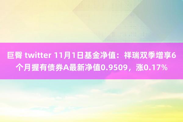 巨臀 twitter 11月1日基金净值：祥瑞双季增享6个月握有债券A最新净值0.9509，涨0.17%