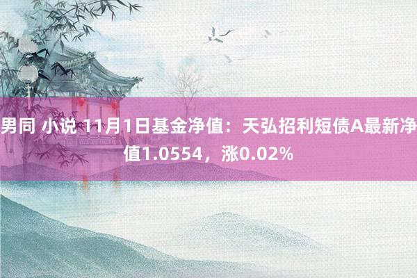 男同 小说 11月1日基金净值：天弘招利短债A最新净值1.0554，涨0.02%