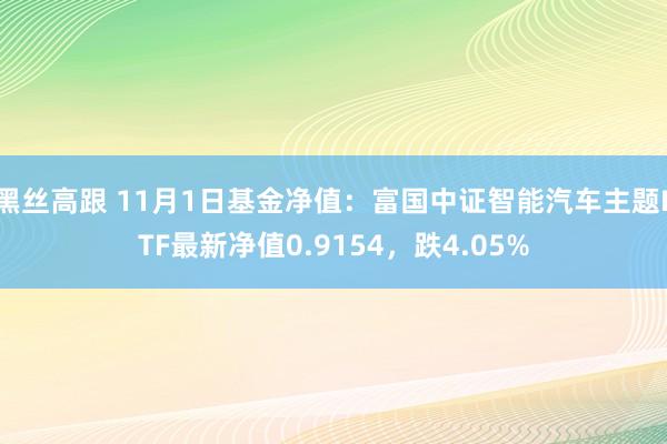 黑丝高跟 11月1日基金净值：富国中证智能汽车主题ETF最新净值0.9154，跌4.05%