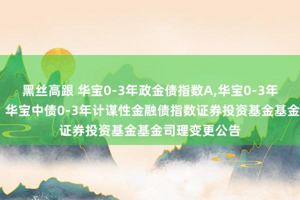 黑丝高跟 华宝0-3年政金债指数A，华宝0-3年政金债指数C: 华宝中债0-3年计谋性金融债指数证券投资基金基金司理变更公告