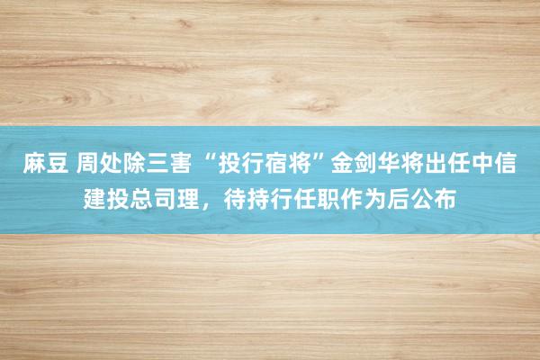 麻豆 周处除三害 “投行宿将”金剑华将出任中信建投总司理，待持行任职作为后公布