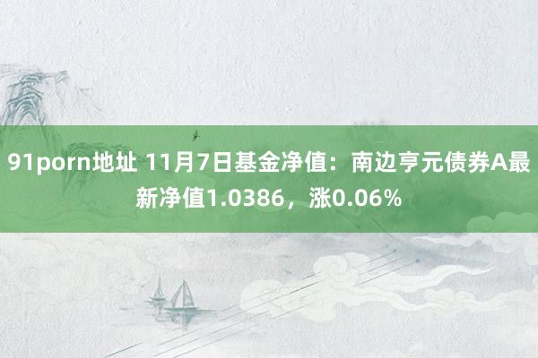 91porn地址 11月7日基金净值：南边亨元债券A最新净值1.0386，涨0.06%