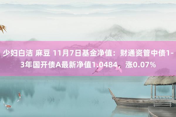 少妇白洁 麻豆 11月7日基金净值：财通资管中债1-3年国开债A最新净值1.0484，涨0.07%