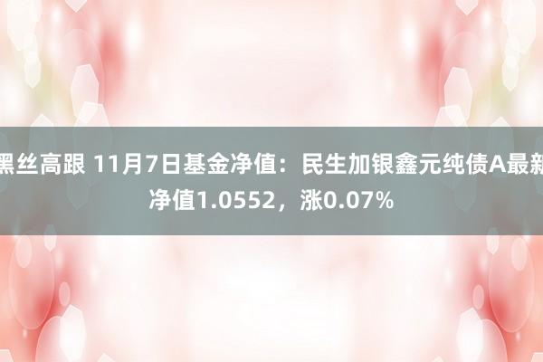 黑丝高跟 11月7日基金净值：民生加银鑫元纯债A最新净值1.0552，涨0.07%