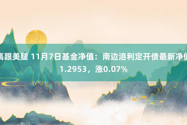 高跟美腿 11月7日基金净值：南边涪利定开债最新净值1.2953，涨0.07%