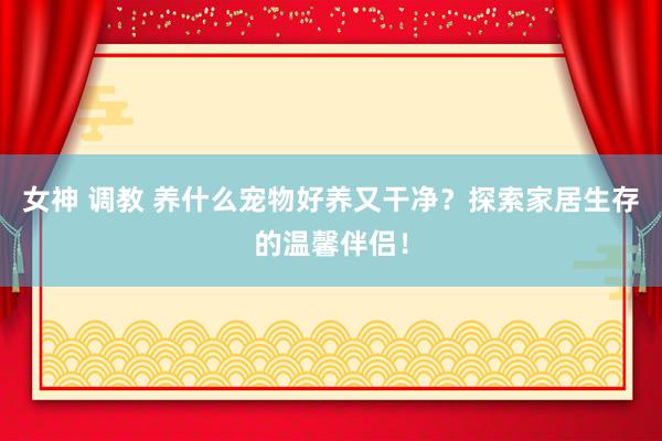 女神 调教 养什么宠物好养又干净？探索家居生存的温馨伴侣！