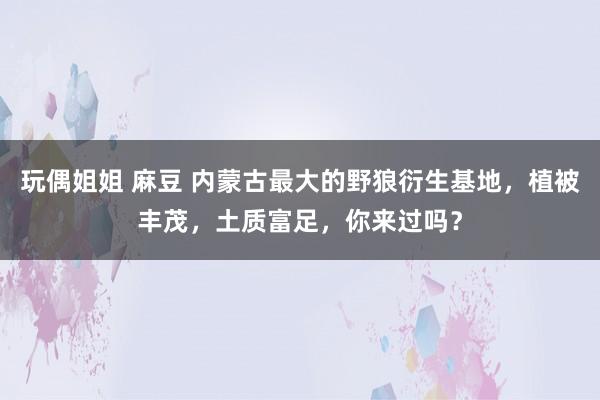 玩偶姐姐 麻豆 内蒙古最大的野狼衍生基地，植被丰茂，土质富足，你来过吗？