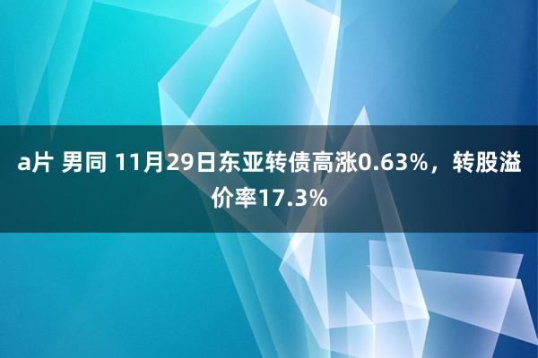 a片 男同 11月29日东亚转债高涨0.63%，转股溢价率17.3%