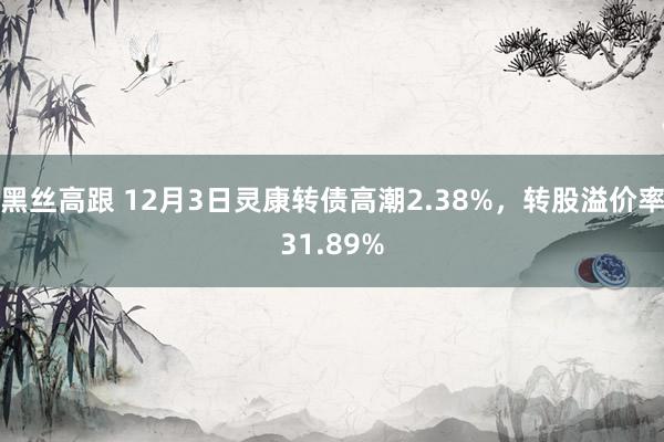 黑丝高跟 12月3日灵康转债高潮2.38%，转股溢价率31.89%