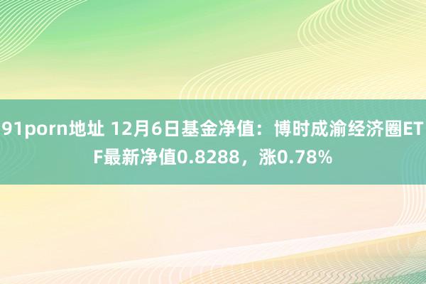 91porn地址 12月6日基金净值：博时成渝经济圈ETF最新净值0.8288，涨0.78%