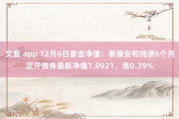 文爱 app 12月6日基金净值：泰康安和纯债6个月定开债券最新净值1.0921，涨0.39%