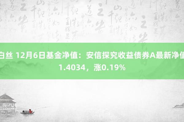 白丝 12月6日基金净值：安信探究收益债券A最新净值1.4034，涨0.19%