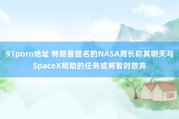 91porn地址 特朗普提名的NASA局长称其明天与SpaceX相助的任务或将暂时放弃