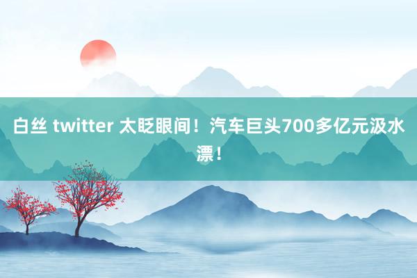 白丝 twitter 太眨眼间！汽车巨头700多亿元汲水漂！