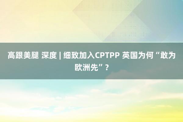 高跟美腿 深度 | 细致加入CPTPP 英国为何“敢为欧洲先”？